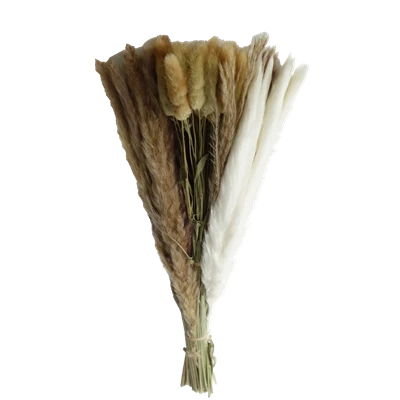 Saqlangan o't